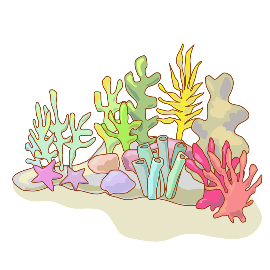 珊瑚のイラスト
