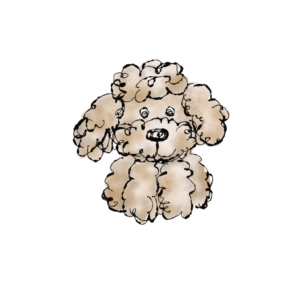 すわる犬(プードル)のイラスト