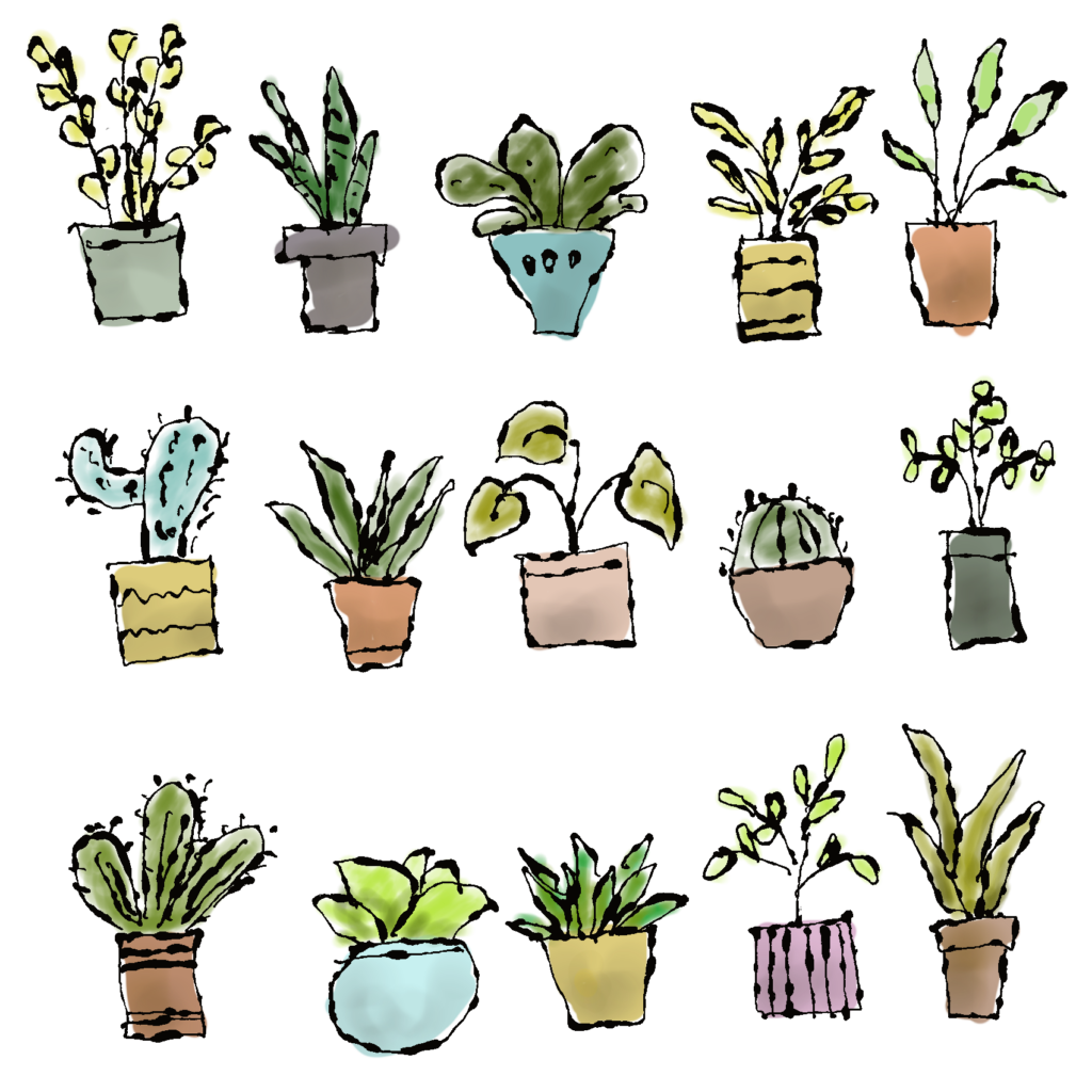 鉢植えの植物たちのイラスト